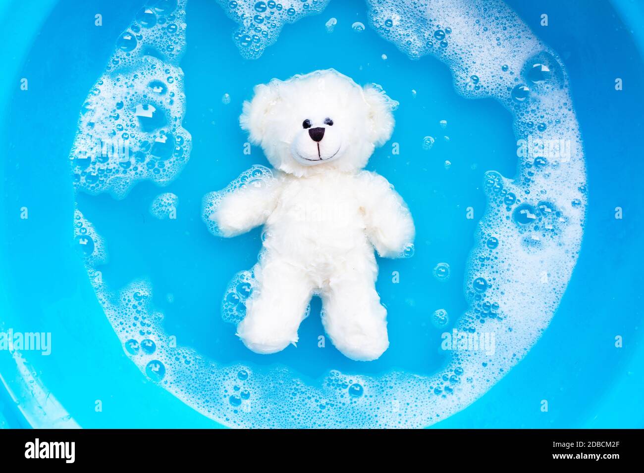 Soak toy bear in laundry detergent water dissolution before washing