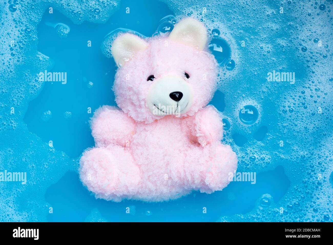 Soak toy bear in laundry detergent water dissolution before washing