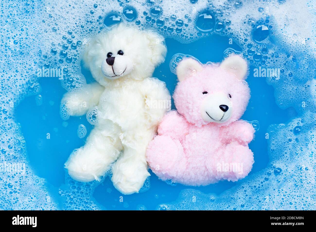 Soak two toy bears in laundry detergent water dissolution before