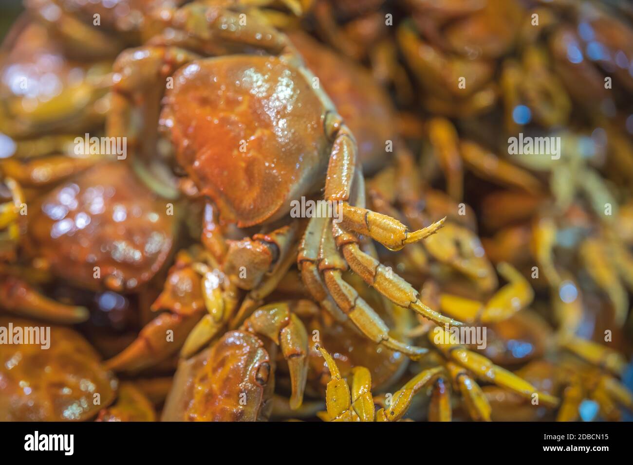 A selective focus shot of crispy delicious cooked small crabs served together in a plate Stock Photo