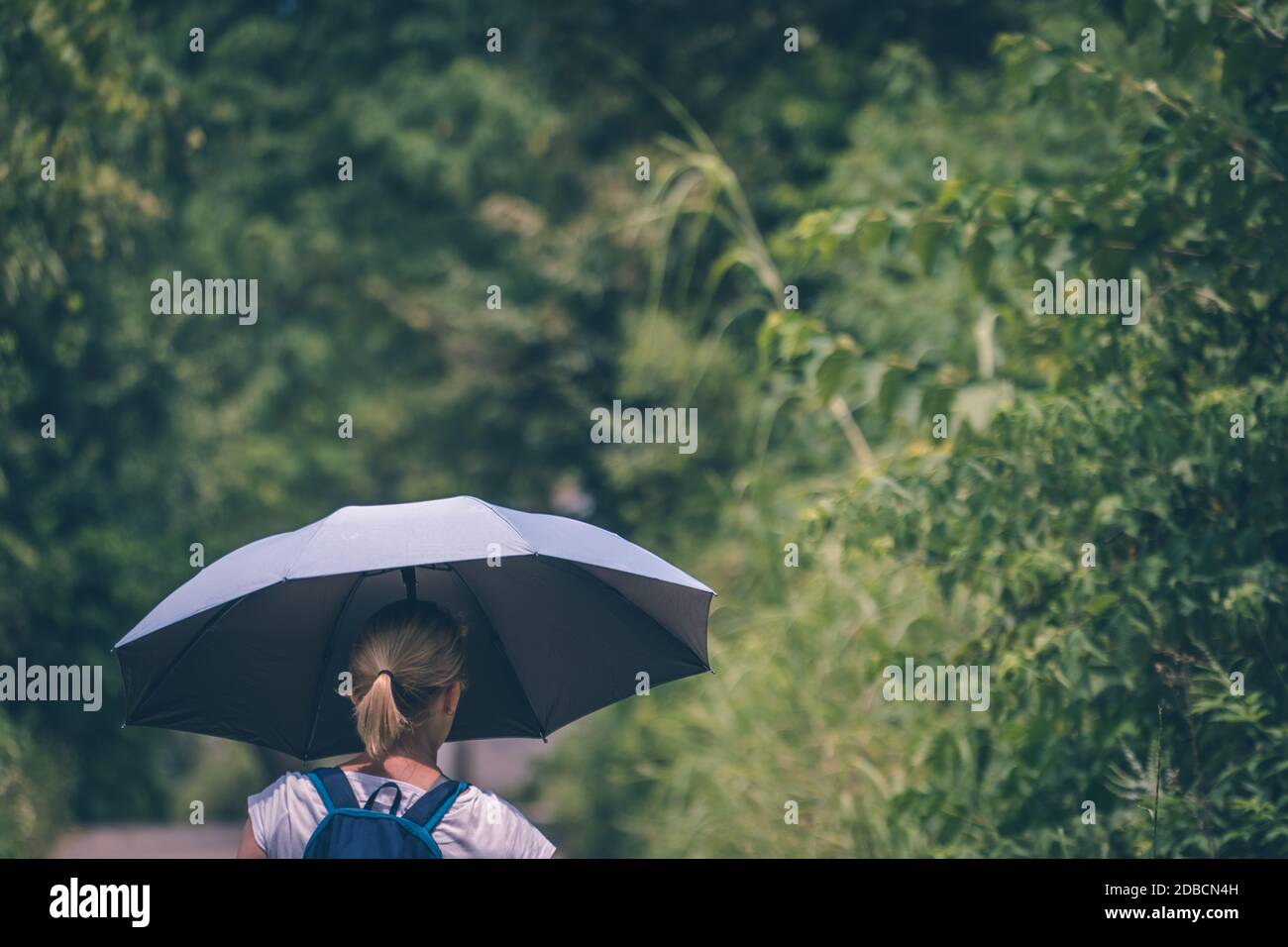 A view of a blond woman holding an umbrella while walking in a tree-covered field Stock Photo
