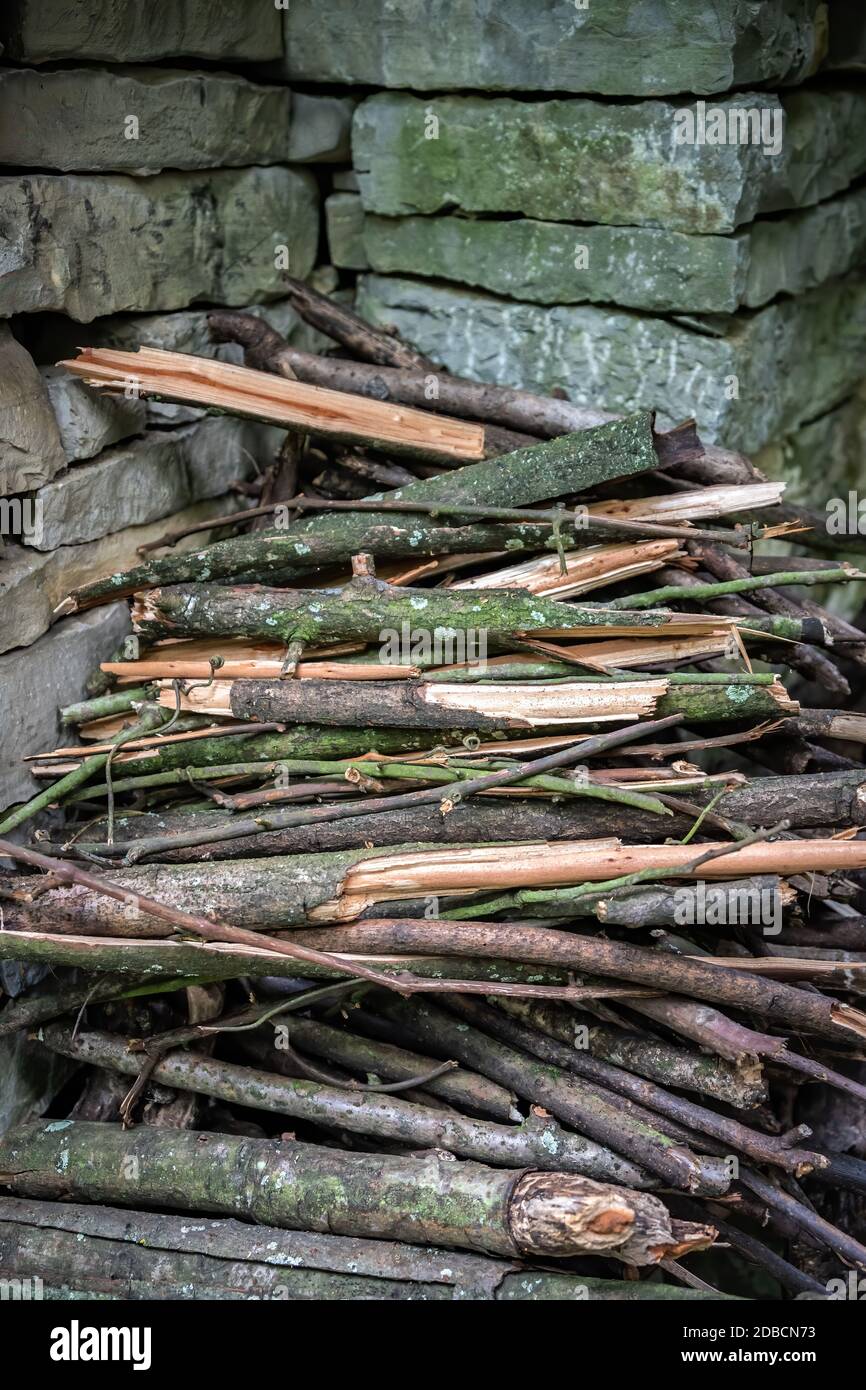 A vertical shot of newly cut wood in an abandoned village in a forest near Yangshuo, China Stock Photo