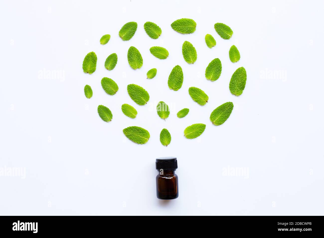 Essential oil with fresh apple mint leaves on white  background. Stock Photo