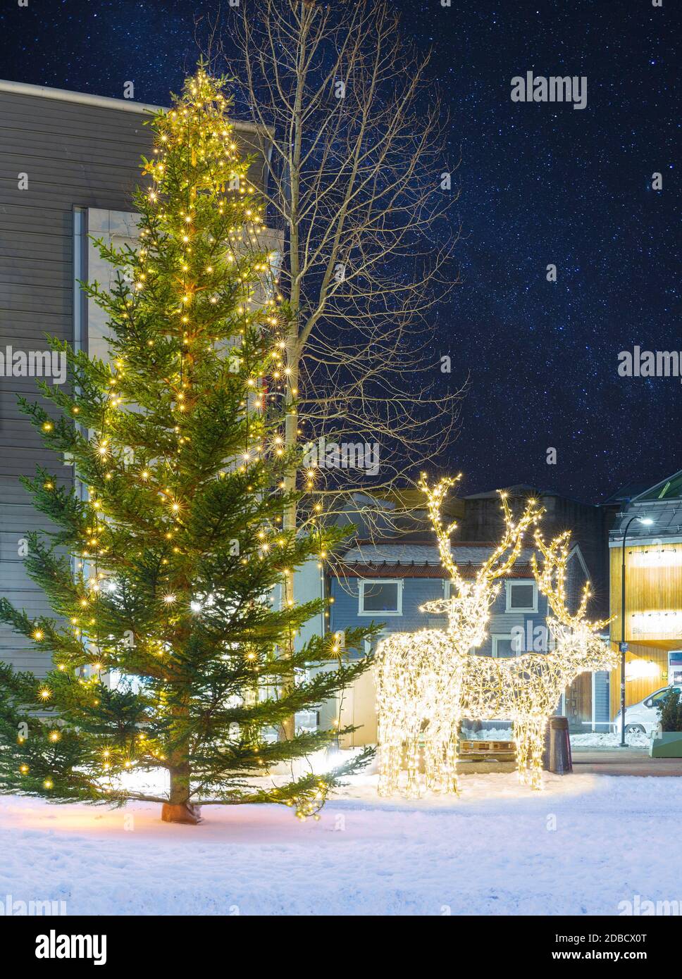 Christmas Tree and Christmas Deer Decorations in  Tromso, Norway, Stock Photo
