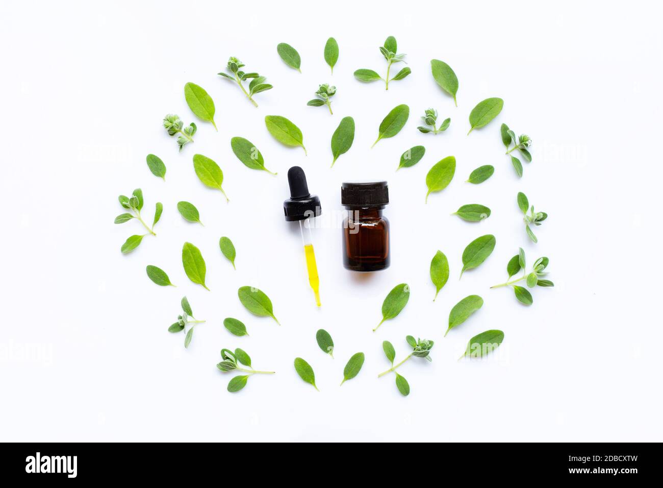 Top view. Bottle of essential oil with marjoram on white background Stock Photo
