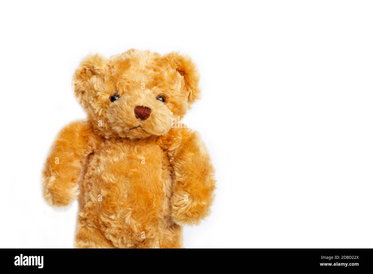 Toy brown bear on white background. Copy space Stock Photo - Alamy