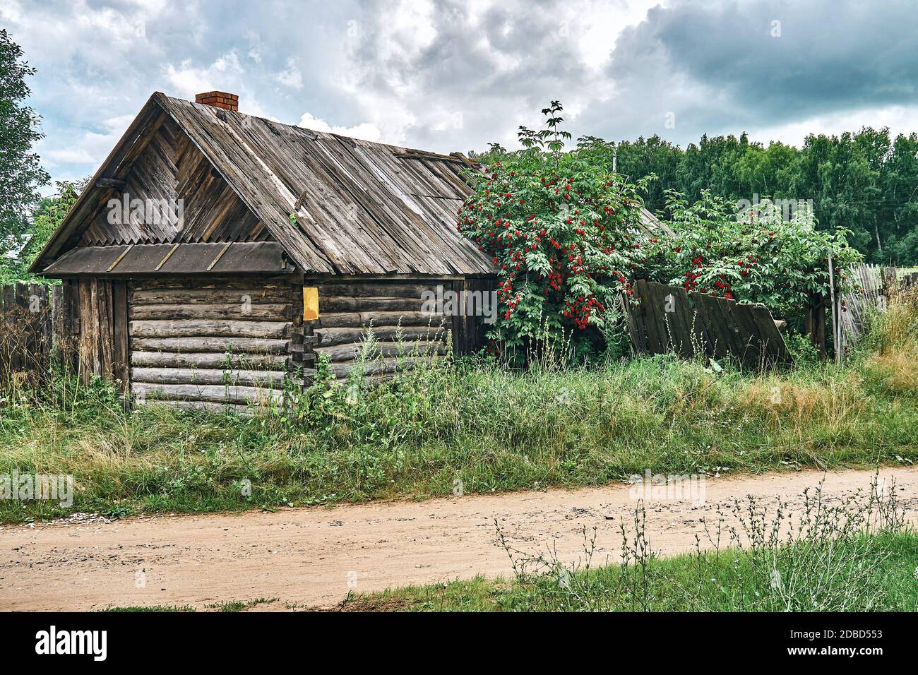 Old shack in the greenery against a gloomy sky. Abandoned old log house in countryside Stock Photo