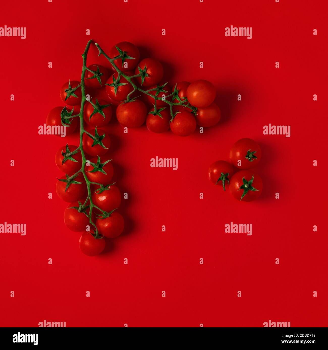Fresh organic branch of tomatoes on a red background. Horizontal orientation, top view, copyspace. Stock Photo