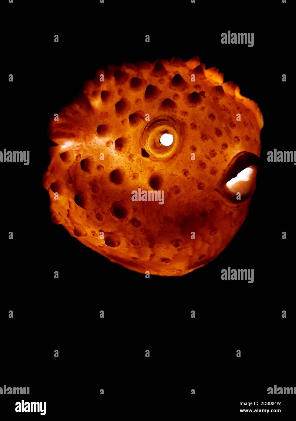 creative solar artwork, inflated ball fish Stock Photo