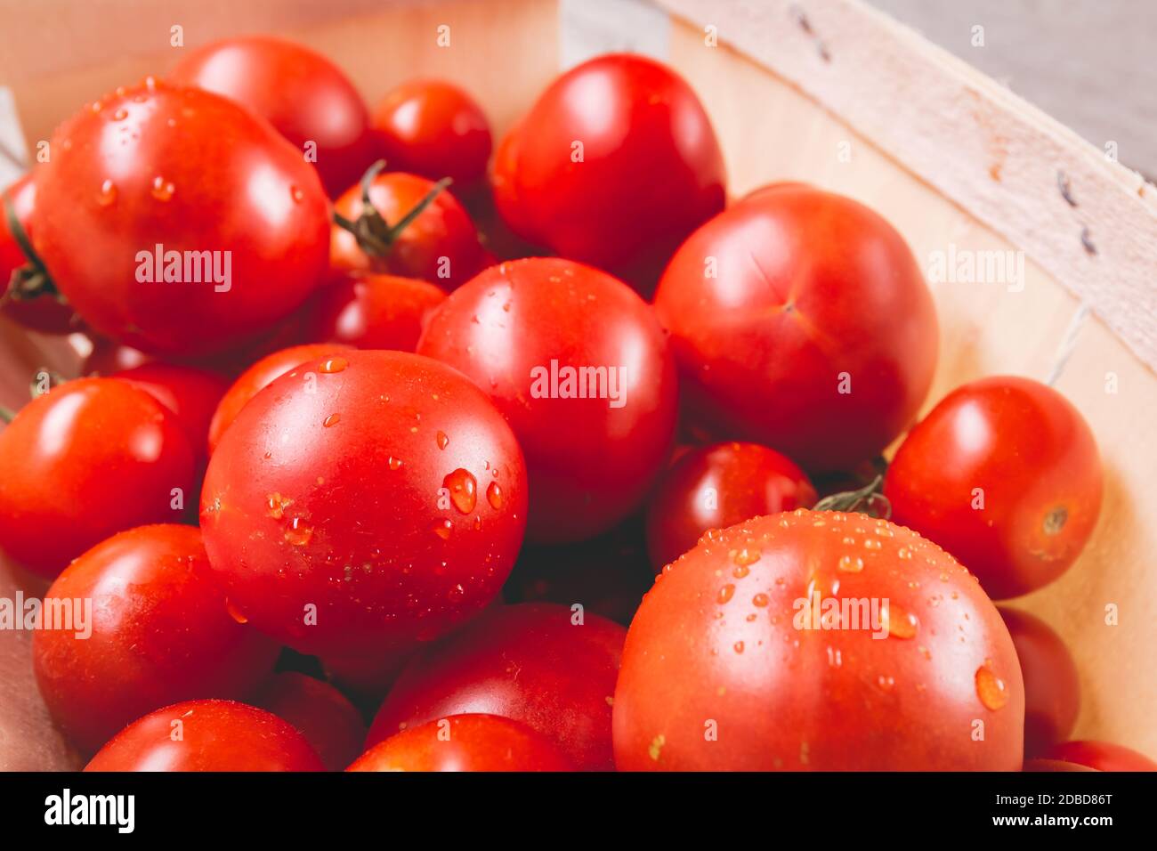 ripe tomatoes in a small wooden crate in studio Stock Photo - Alamy
