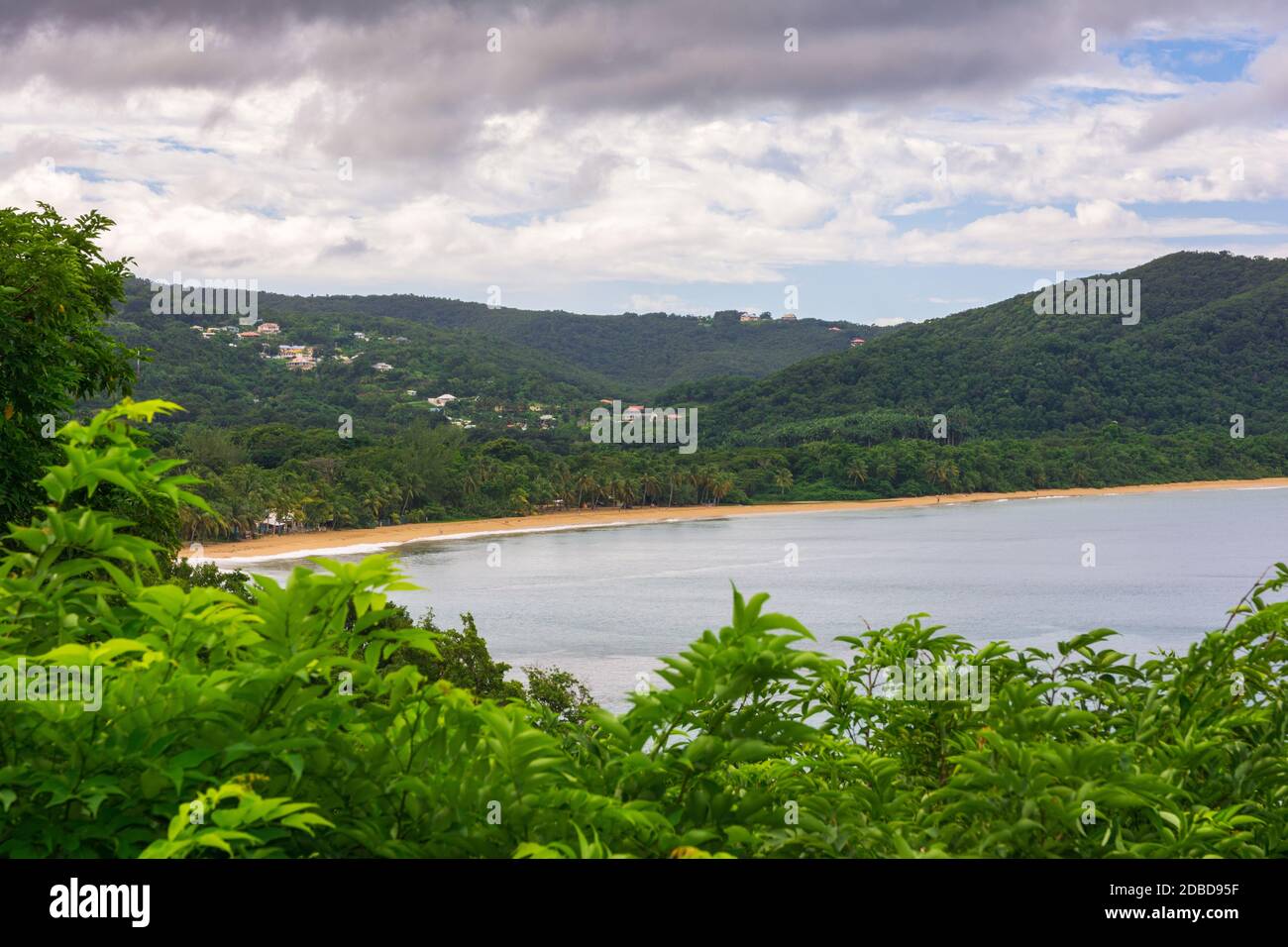 Grande Anse beach, Deshaies, BasseTerre, Guadeloupe Stock Photo Alamy