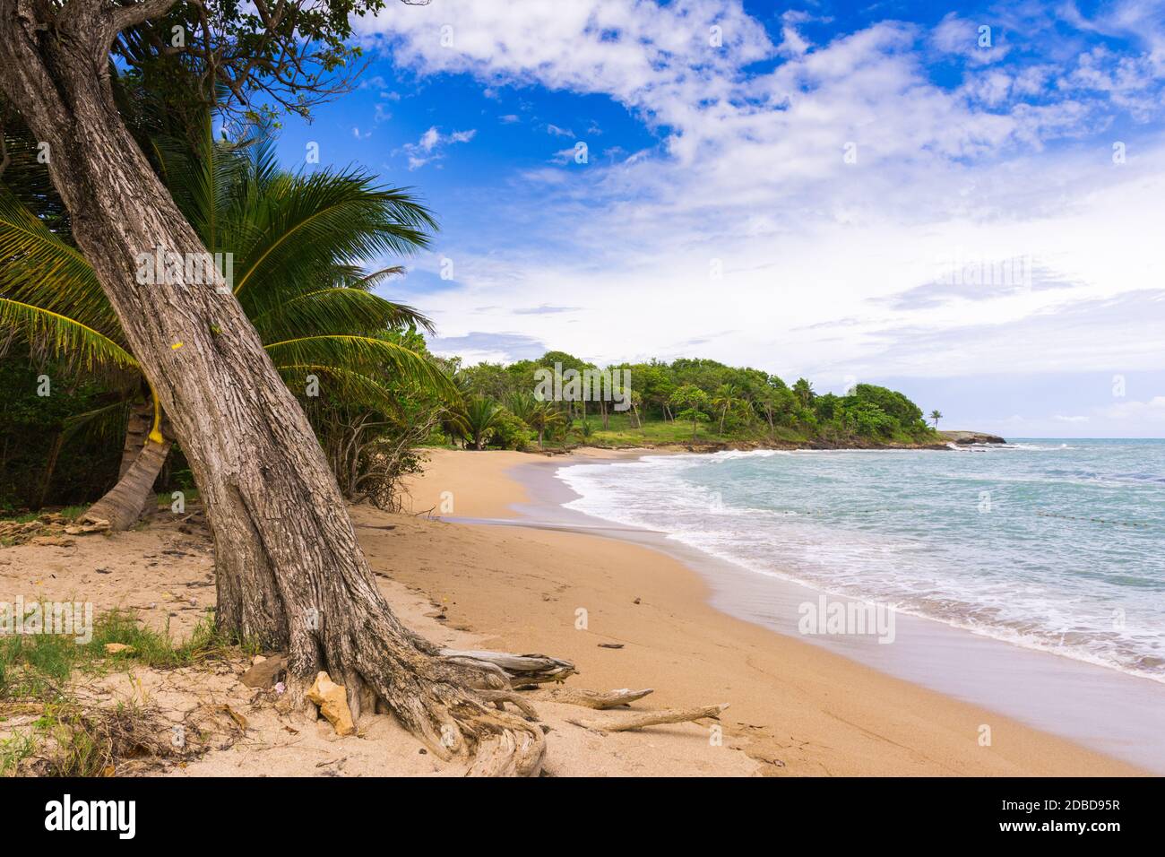 Grande Anse beach, Deshaies, BasseTerre, Guadeloupe Stock Photo Alamy