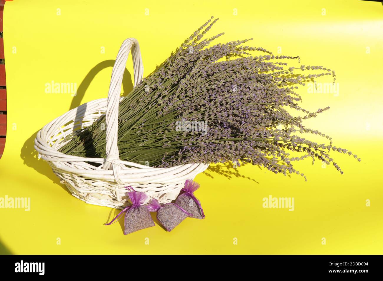 A cut grosso lavender in a white basket on a yellow background Stock Photo