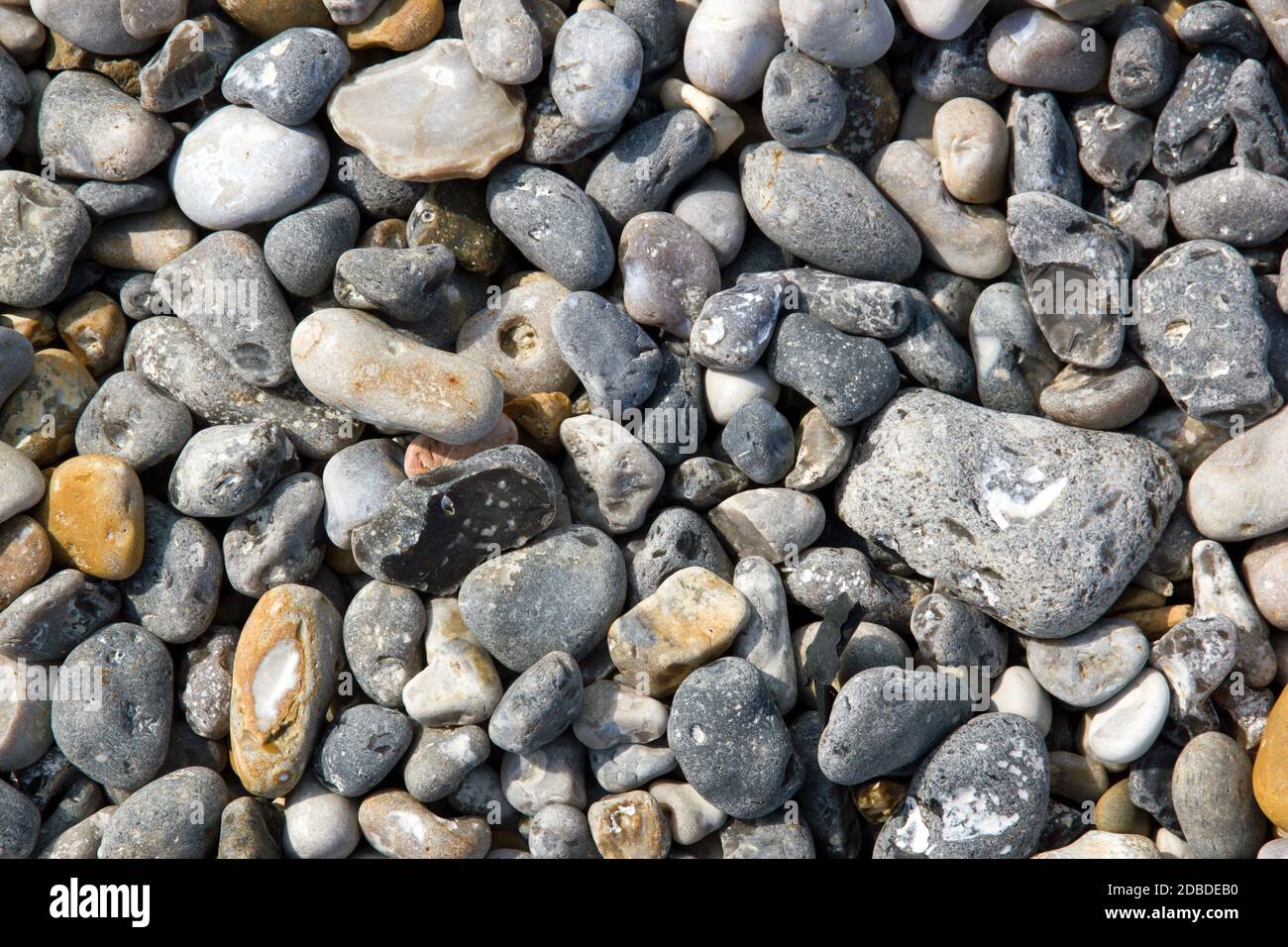 Dieppe, the pebbles of the beach (Seine-Maritime France) Stock Photo