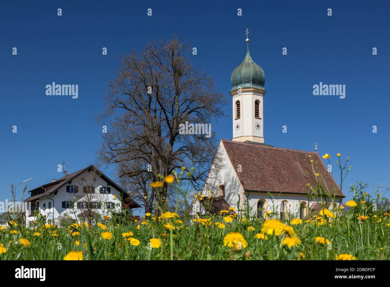 geography / travel, Germany, Bavaria, Riegsee, church Froschhausen with dandelion, Upper Bavaria, Sout, Additional-Rights-Clearance-Info-Not-Available Stock Photo