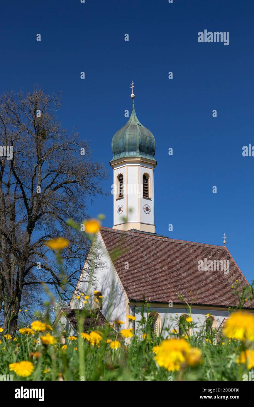 geography / travel, Germany, Bavaria, Riegsee, church Froschhausen with dandelion, Upper Bavaria, Sout, Additional-Rights-Clearance-Info-Not-Available Stock Photo
