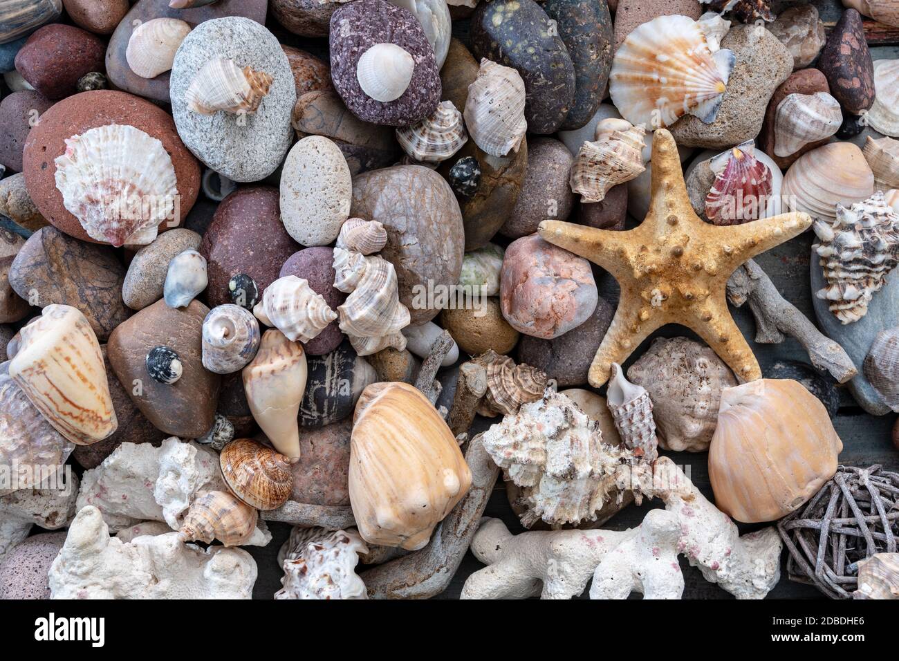 many snails and stones in aerial photo Stock Photo