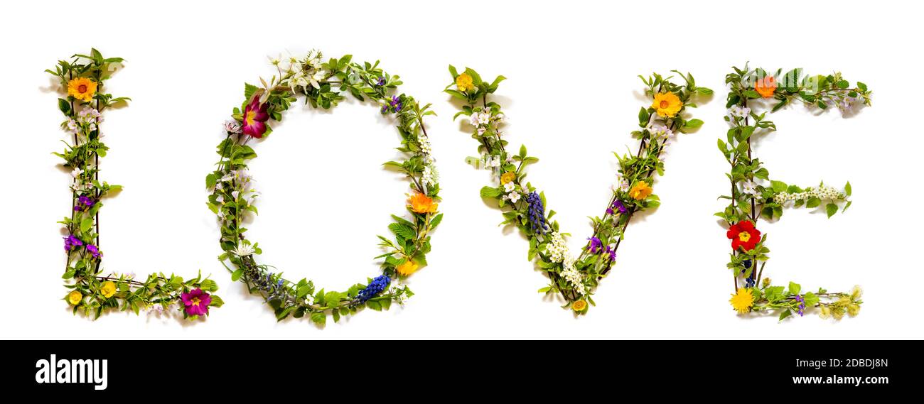 Flower, Branches And Blossom Letter Building English Word Love. White Isolated Background Stock Photo