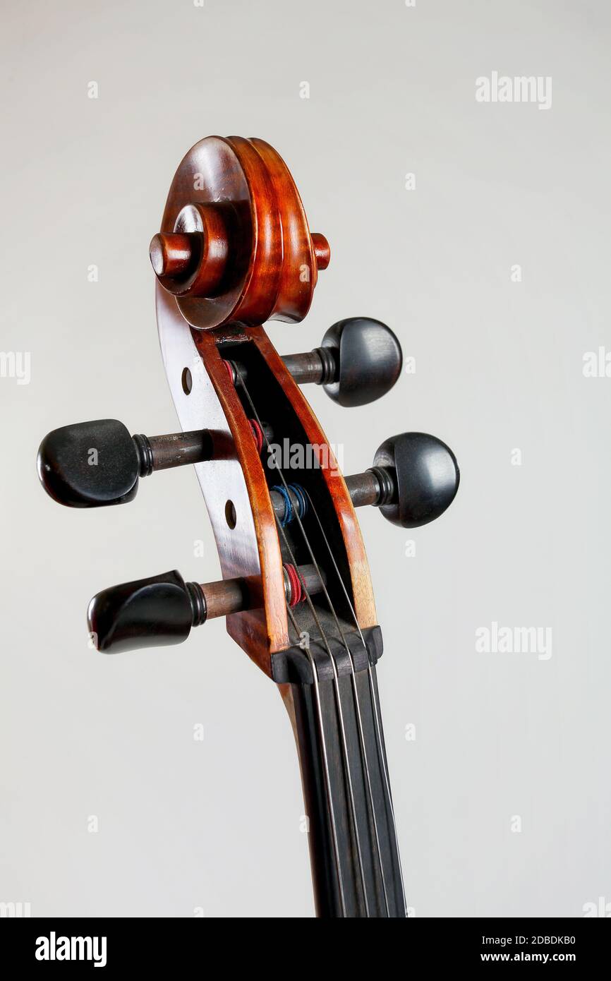 Old double bass head with strings isolated on white background Stock Photo