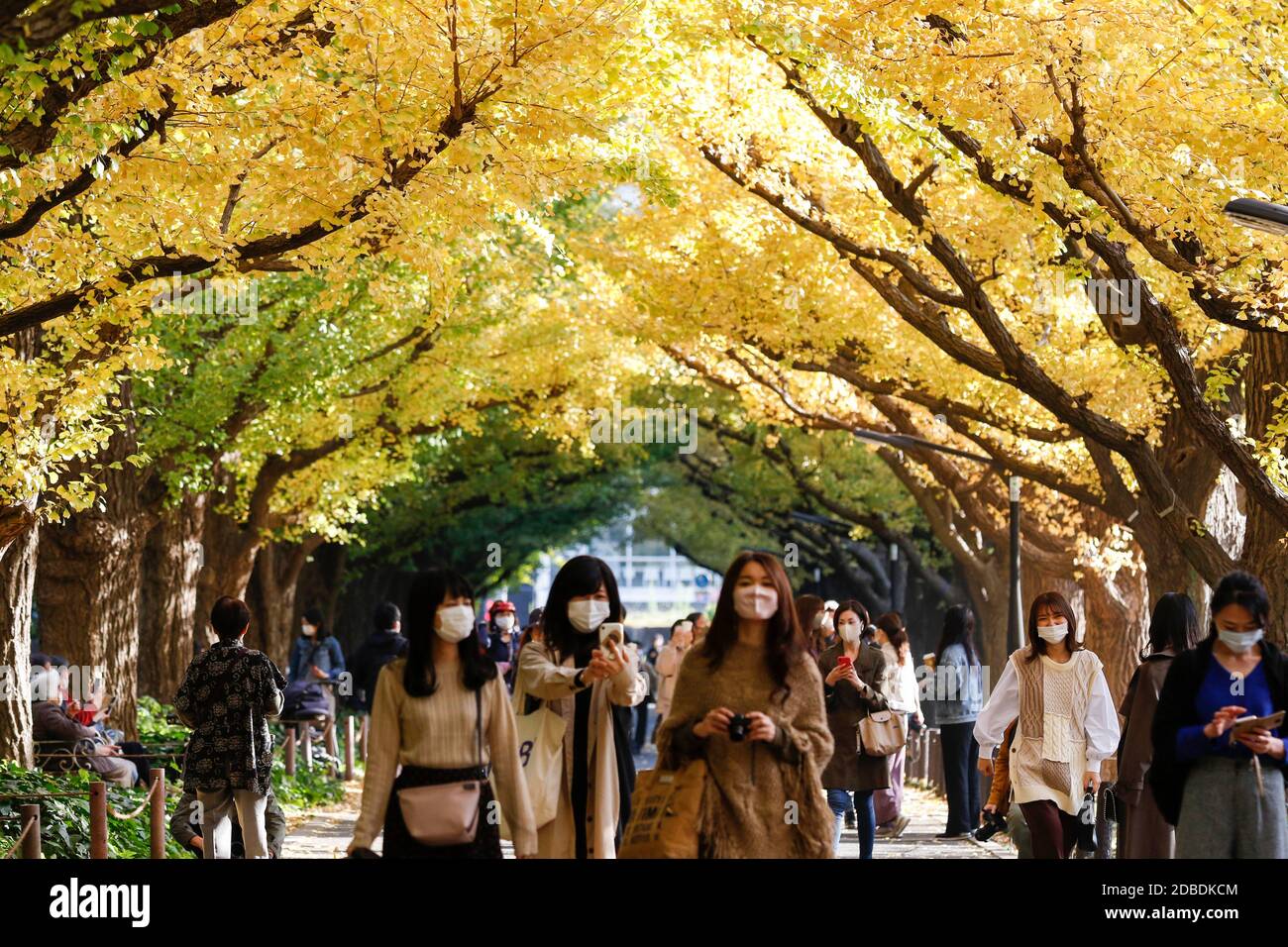 Tokyo Japan 17th November Pedestrians Wearing Face Masks To Prevent The Spread Of The Novel Coronavirus Walk Under Autumn Leaves Along The Meiji Jingu Gaien Avenue On November 17 Tokyo