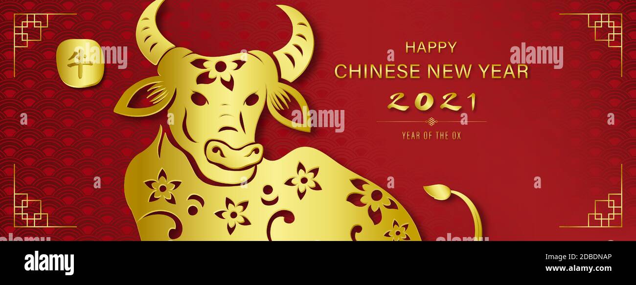 Golden ox with happy Chinese new year 2021text on red banner background, Chinese text means ox Stock Vector