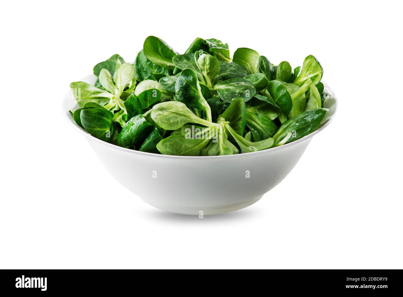 Fresh green Corn salad leaves or lamb's lettuce or Valerianella locusta in bowl isolated on white Stock Photo