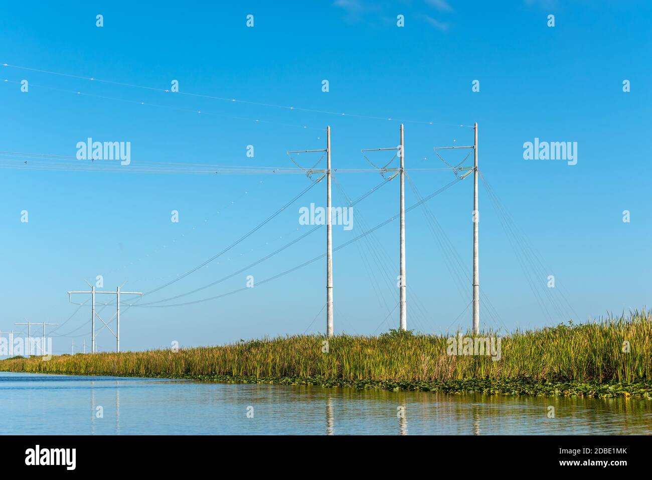 Power lines running through Everglades National Park near Fort