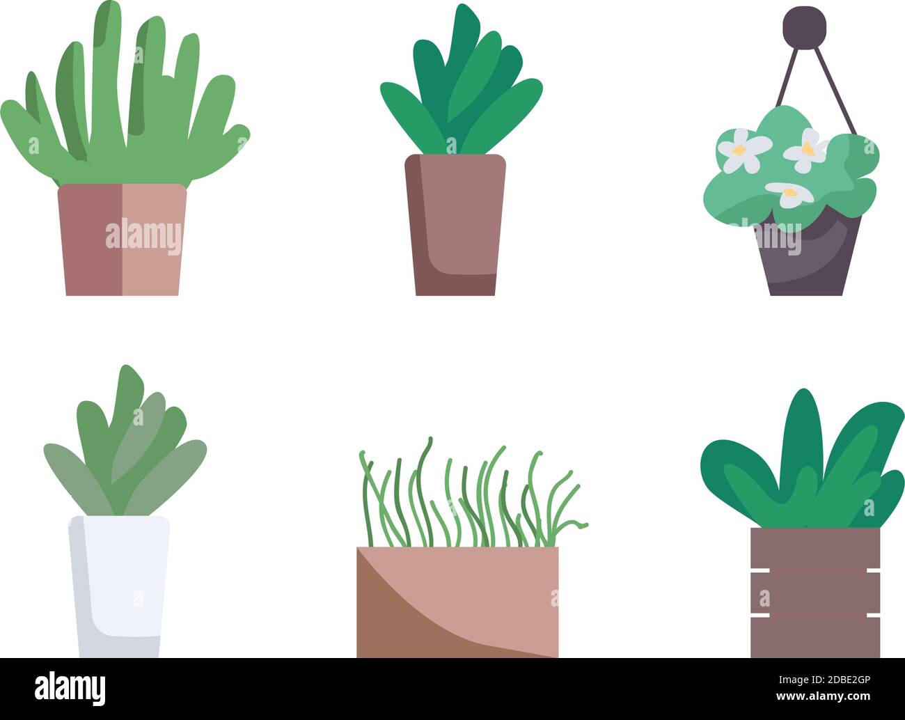 Houseplants flat color vector object set Stock Vector Image & Art - Alamy