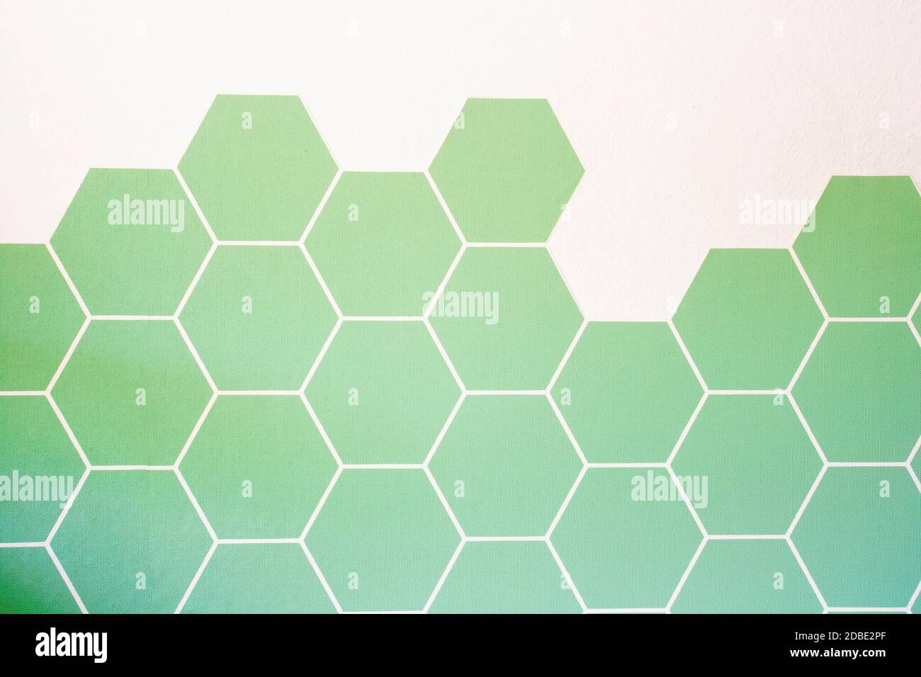 Retro modern green Hexagon tiled wall with half white wall, modern ...