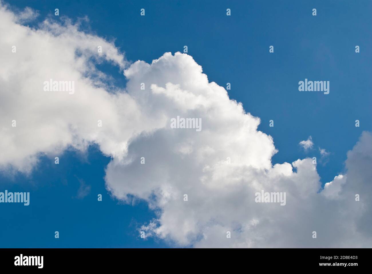 white cloud in a blue sky Stock Photo