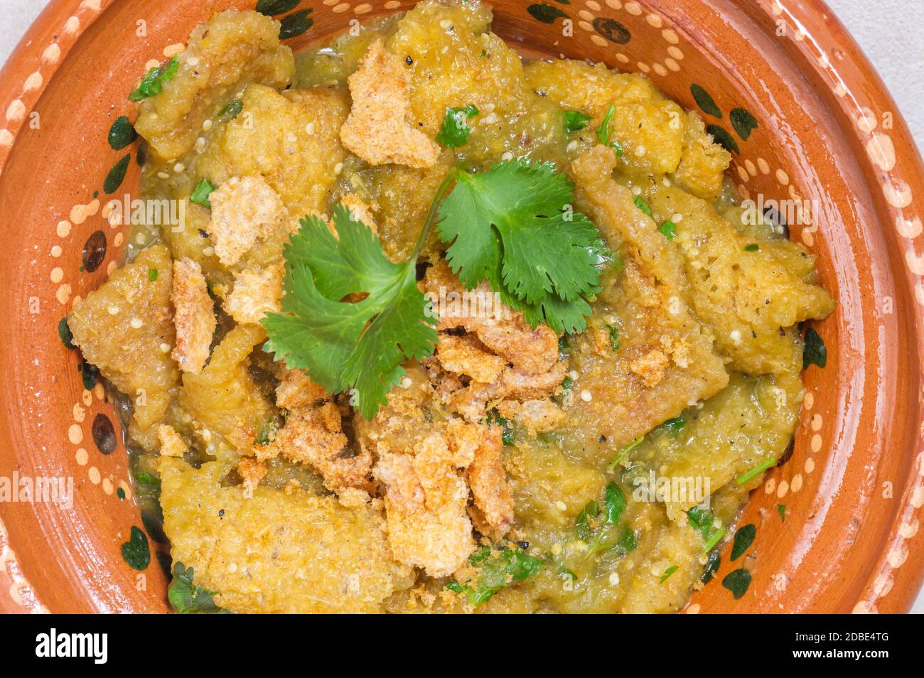 Pork rinds in green salsa, Chicharron in salsa verde, Mexican food. A