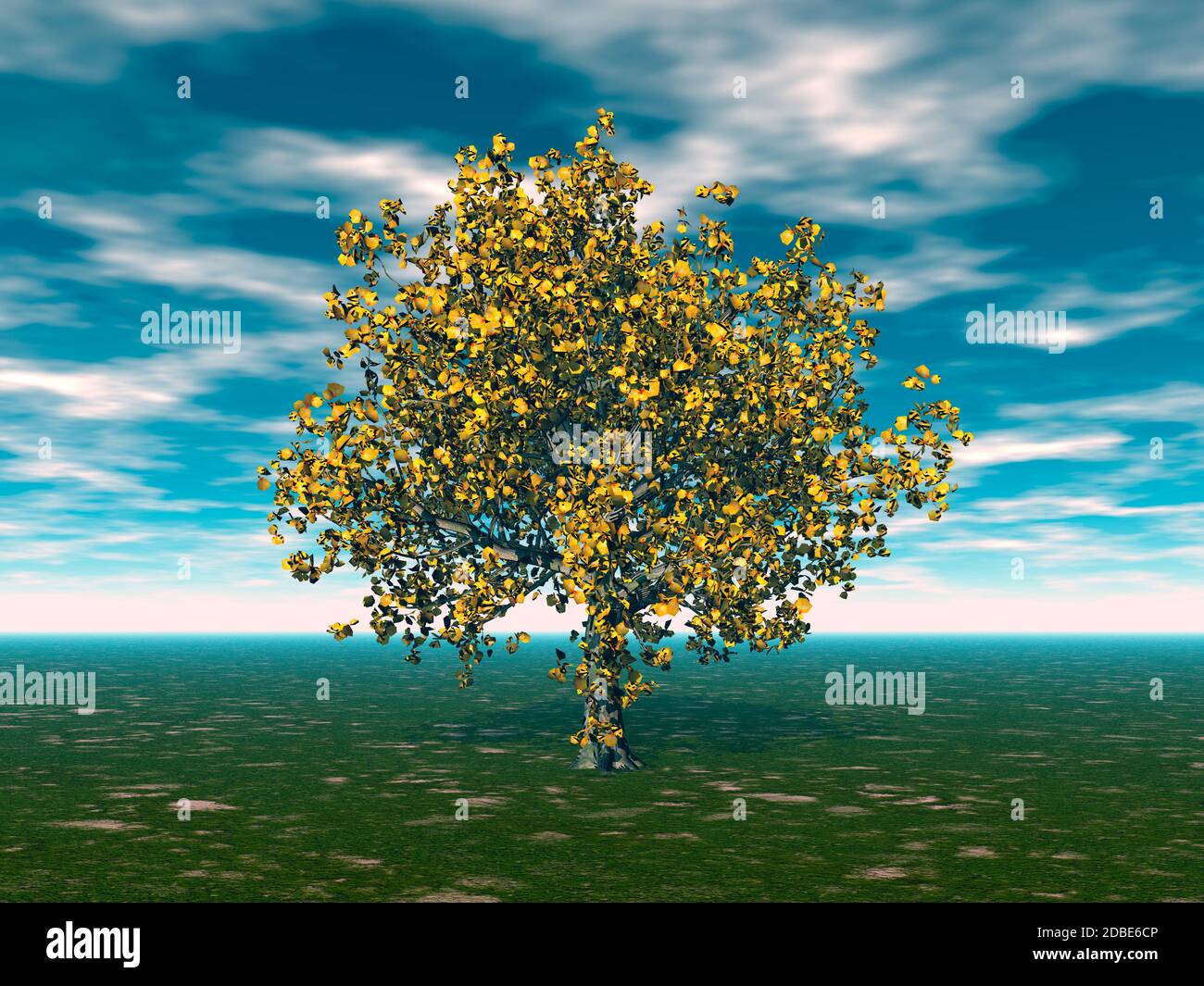 large deciduous tree with a spreading crown on the meadow Stock Photo Alamy
