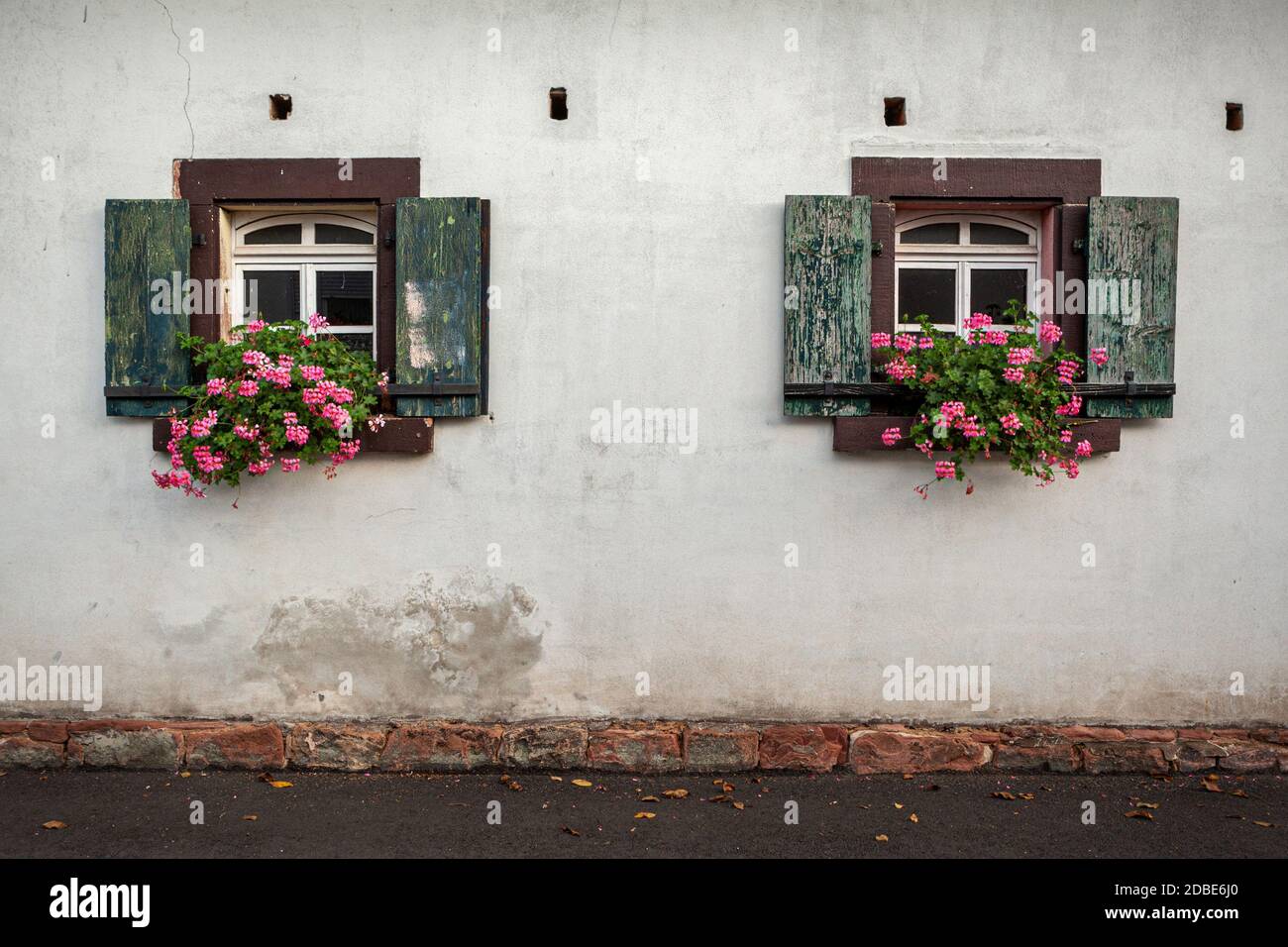 zwei alte Fenster mit rosa Geranien Stock Photo