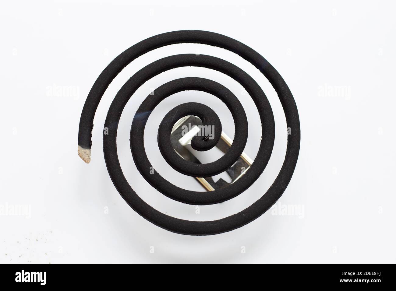 70, b,) escapes from the cocoon and lays more eggs... 