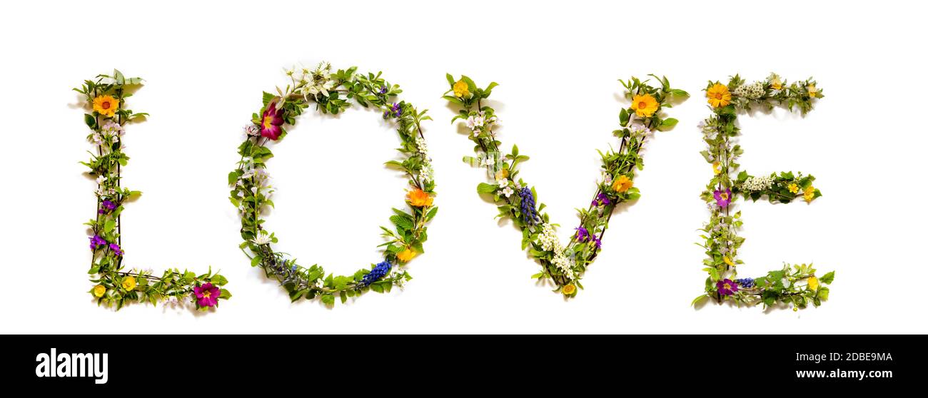 Flower, Branches And Blossom Letter Building English Word Love. White Isolated Background Stock Photo
