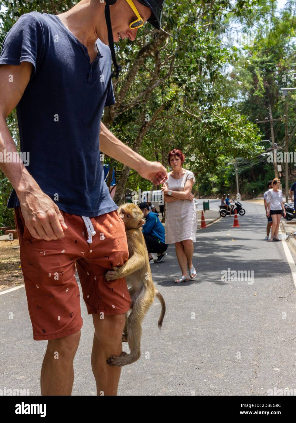 monkey still banana from tourist man pocket Stock Photo