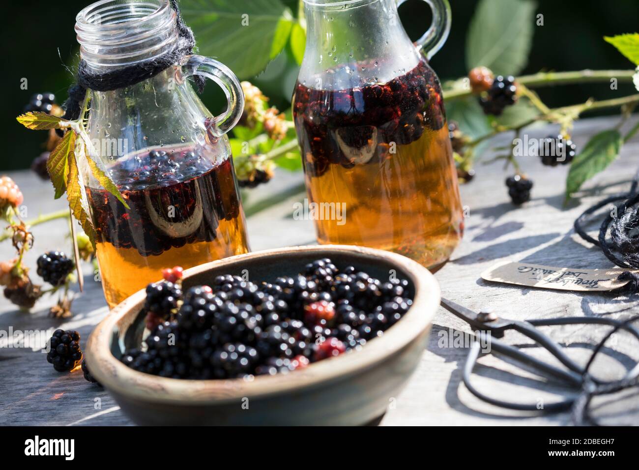 Brombeer-Balsamico, Brombeer-Essig, Brombeerbalsamico, Brombeeressig ... Brombeer-Balsamico, Brombeer-Essig, Brombeerbalsamico, Brombeeressig ...
