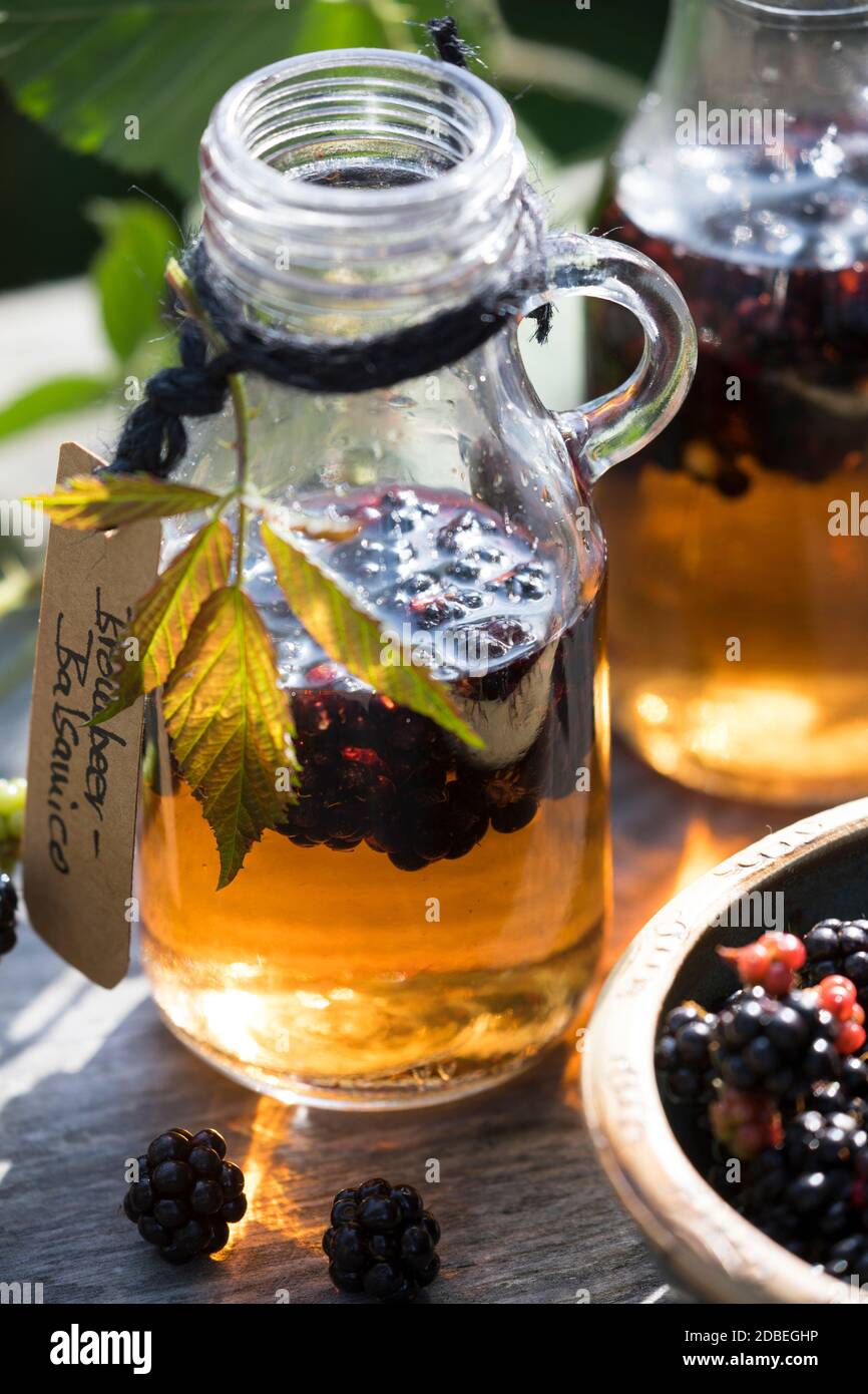 Brombeer-Balsamico, Brombeer-Essig, Brombeerbalsamico, Brombeeressig ... Brombeer-Balsamico, Brombeer-Essig, Brombeerbalsamico, Brombeeressig ...