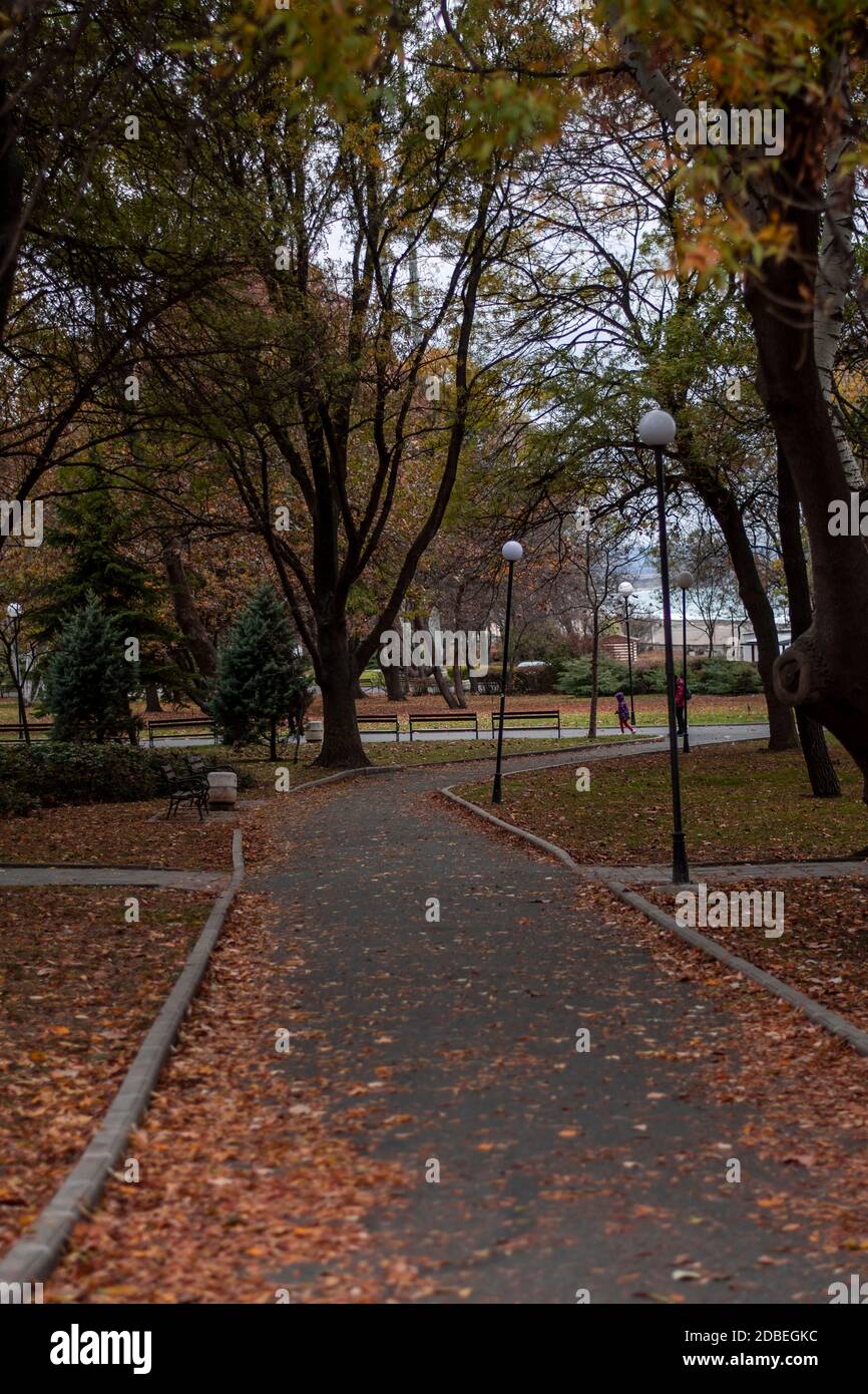 Empty park alley hi-res stock photography and images - Alamy