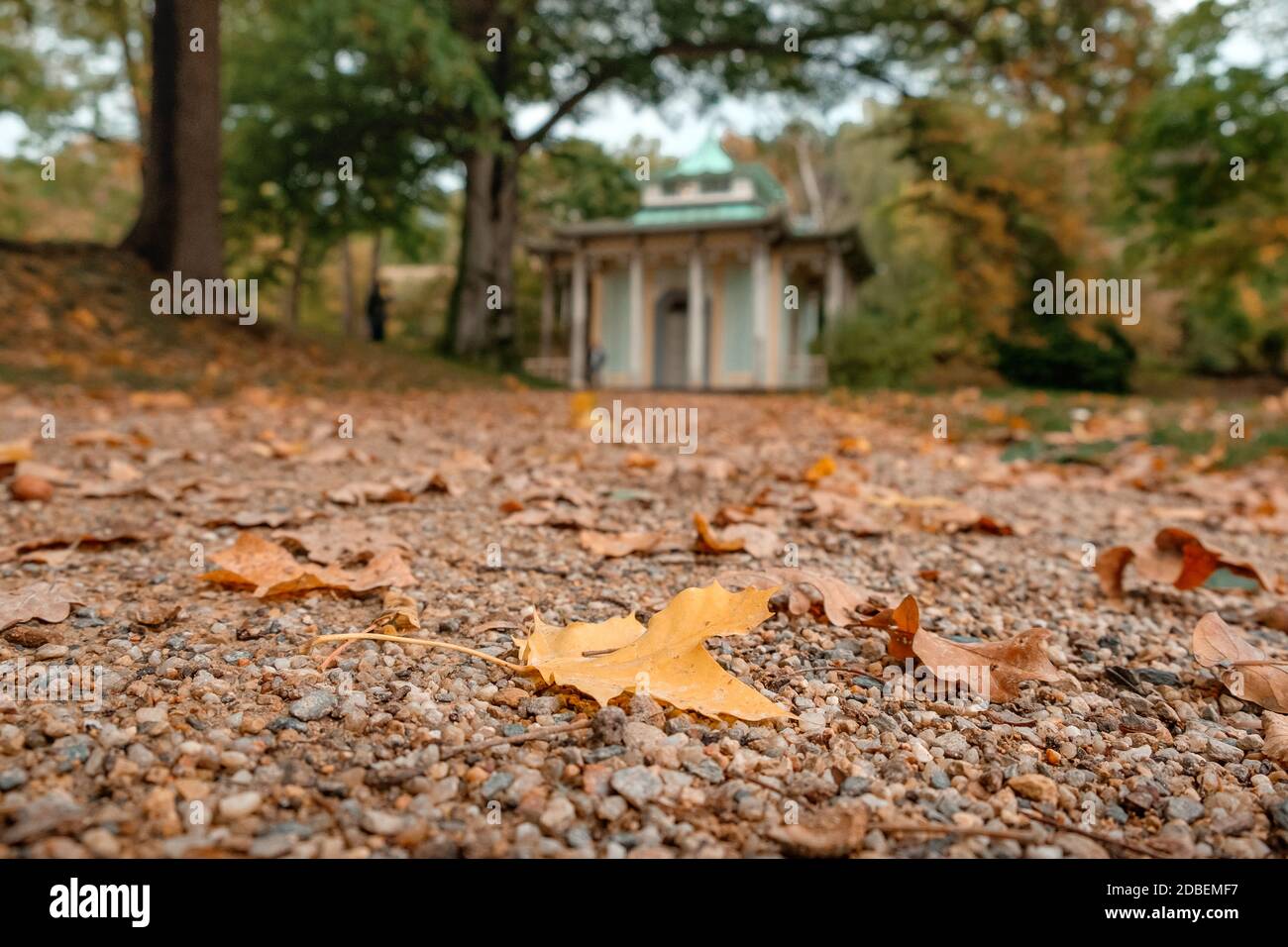 park in autumn colors Stock Photo - Alamy