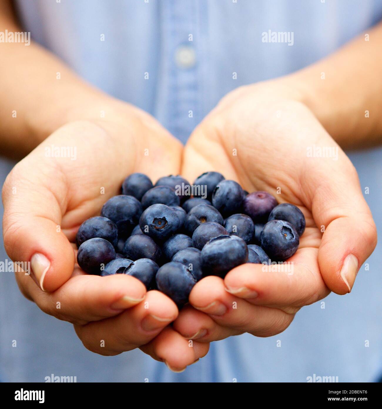 Как отмыть руки от черники. Как отмыть руки от черники. Ягоды в руках. Торно марийская ягода. Как отмыть руки от черники.