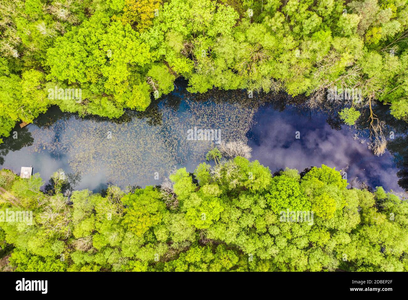 a forest lake nestled in a deciduous forest in spring - aerial view Stock Photo