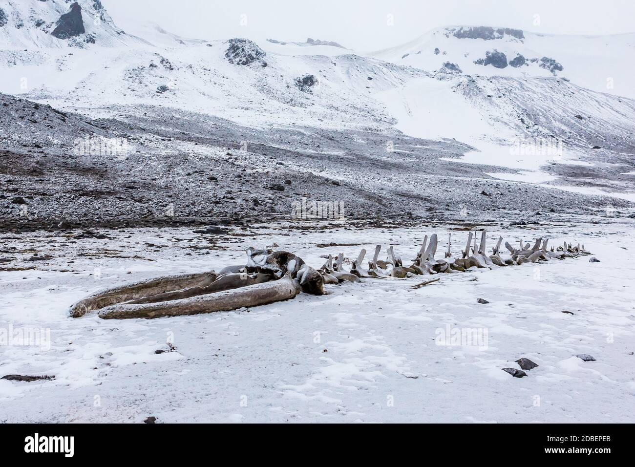 Beautiful landscape and scenery in Antarctica. Freezing Stock Photo