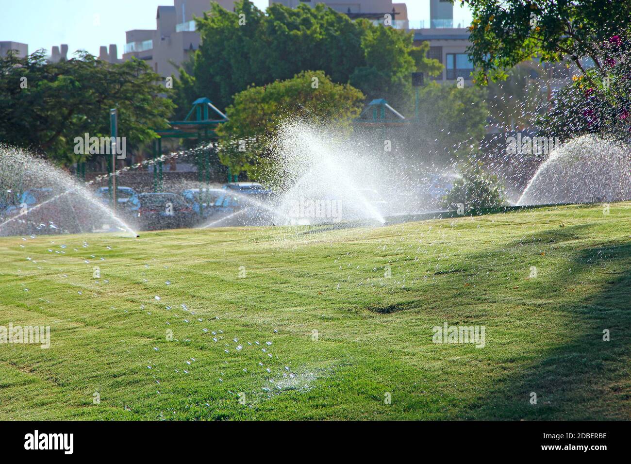 Watering of grassy lawn at resort in Egypt. Hotel with wellgroomed