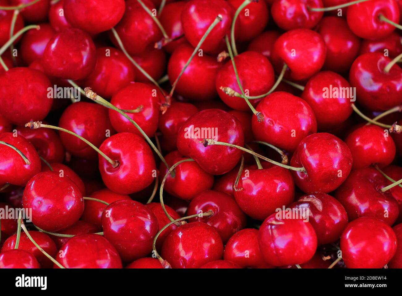 Fresh organic red cherries pile sold on market stall Stock Photo Alamy