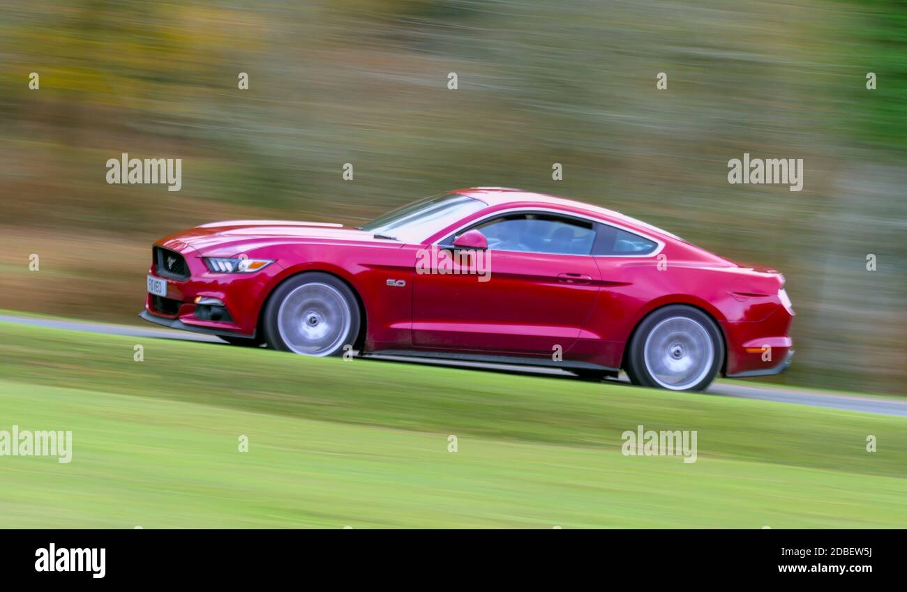 Panning Shot Showing Motion Blur And Speed Of A Red Ford Mustang 5.0 V8 GT Muscle Car Speeding Through A Forest UK Stock Photo