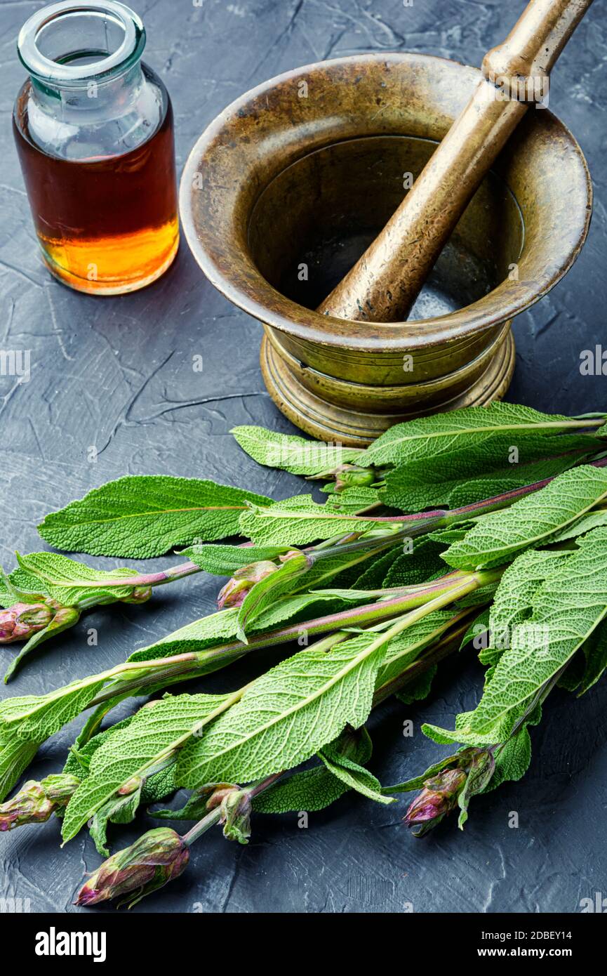 Sage leaves or salvia in herbal medicine.Medicinal herbs Stock Photo Alamy