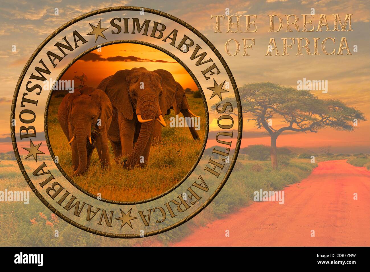 Africa safari animals sunset hi-res stock photography and images - Alamy