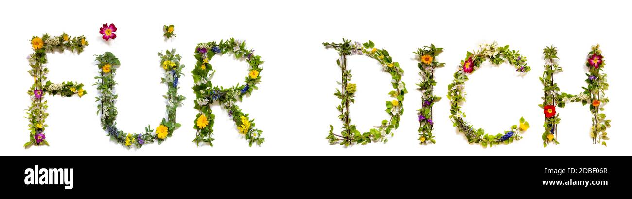 Flower, Branches And Blossom Letter Building German Word Fuer Dich ...