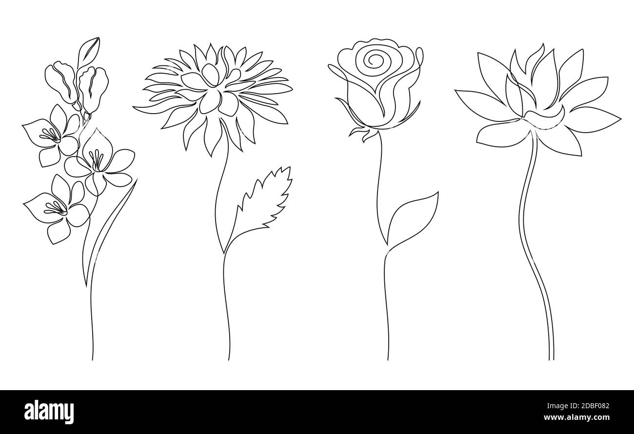 Collection of flowers Stock Vector